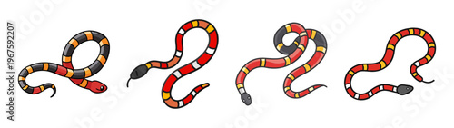 Five colorful snakes in different poses with red, yellow and black scales