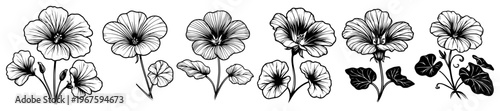 Geranium Flower Sketches Set Minimalist Line Art Floral Elements for Eco Friendly Branding and Packaging Design