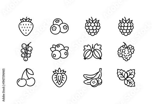 Collection of fresh berry and fruit icons in a clean line art style