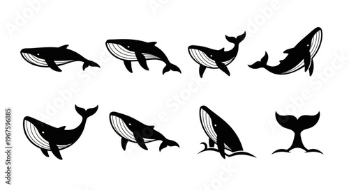 Collection of stylized whale icons in various swimming poses