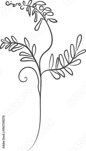 Wildflower Line Sketch