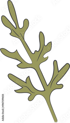 Arugula Leaf Herb Silhouette