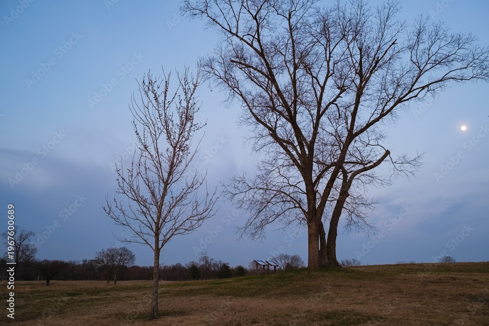 Obraz premium Eastern Flank Battlefield Park in Franklin Tennessee
