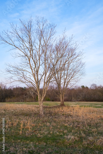 Wallpaper Mural Eastern Flank Battlefield Park in Franklin Tennessee Torontodigital.ca