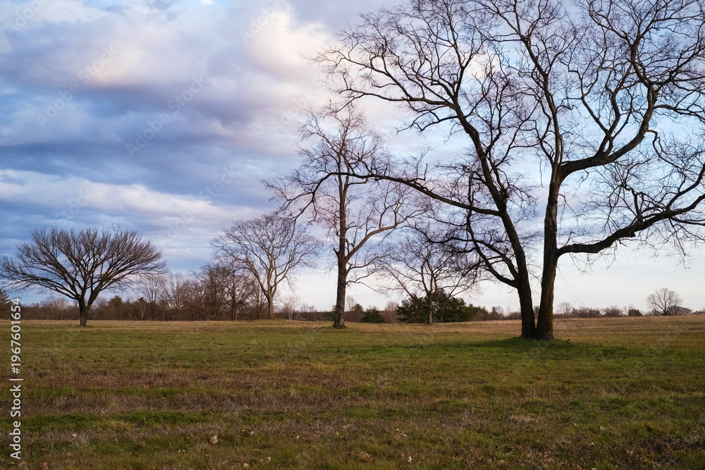 Fototapeta premium Eastern Flank Battlefield Park in Franklin Tennessee