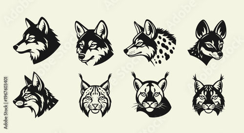 Collection of Wild Canine and Feline Animal Head Portraits in Black and White.