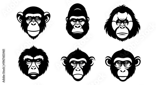 Group of Monkey Faces Silhouetted Apes Portraits.