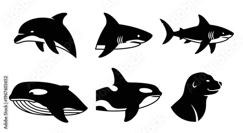 Whale and dolphin silhouettes collection isolated on white.