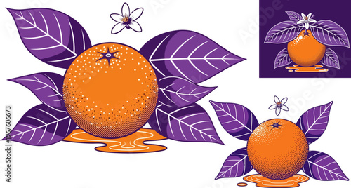 Vector oranges, juicy fruit icons, purple leaves, orange illustrations, fruit set