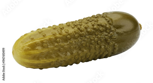 Single whole green pickled cucumber on a transparent background