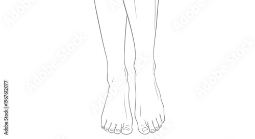 Artistic Line Drawing of Female Legs and Feet, Elegant Pose
