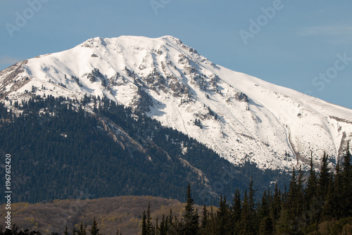 Karavoula mountain with snowy peaks, blue sky and evergreen forest of fir trees and cypress in Greece during spring landscape.