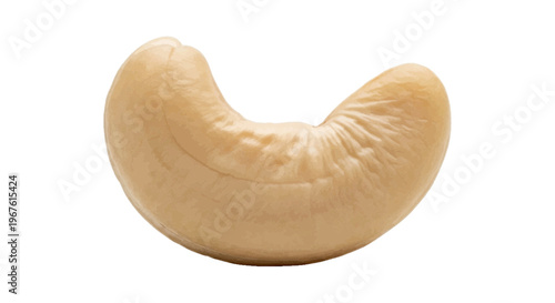 Single raw cashew nut on a transparent background