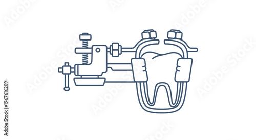 Dental Clamp Holding Tooth Model for Treatment or Procedure