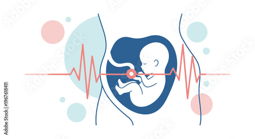 Fetus Heartbeat Monitoring in Womb: Pregnancy Health and Medical Care Concept