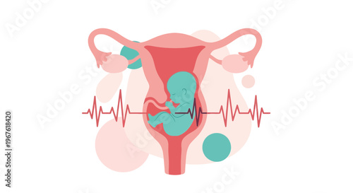Fetus in Uterus with Heartbeat Monitor Line - Pregnancy and Healthcare Concept