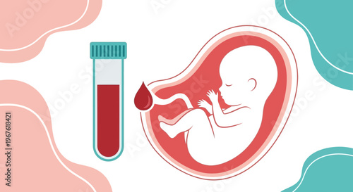 Fetus in womb with blood sample vial, prenatal diagnostics concept