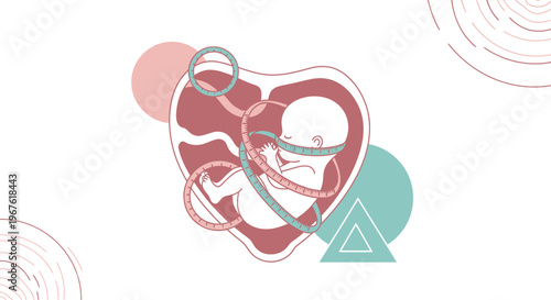 Fetus in womb, umbilical cord, pregnancy, abstract shapes, concept of life, development
