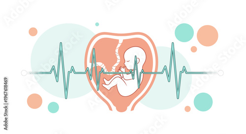 Fetus in womb with heartbeat monitor, pregnancy, health, and medical care concept
