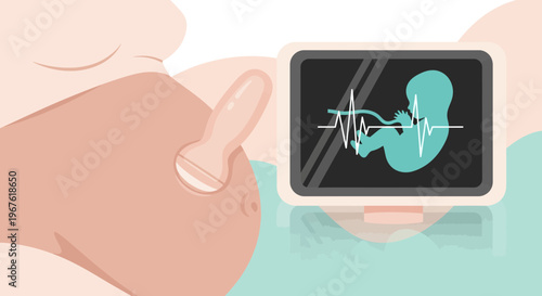 Pregnant Belly Ultrasound Scan Showing Fetus and Heartbeat Monitor