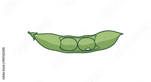 Fresh Green Peas in Pod.