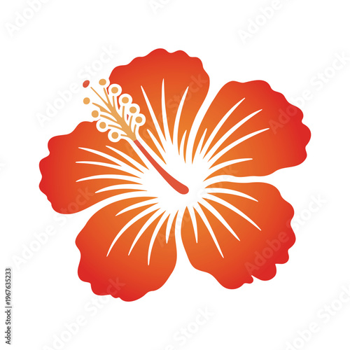 Tropical Hibiscus Flower Vector