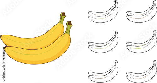 Banana fruit illustration with colored and outline variations tropical vector set isolated on white background
