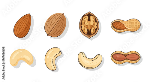 Variety of nuts including almonds, walnuts, peanuts, and cashews are shown.