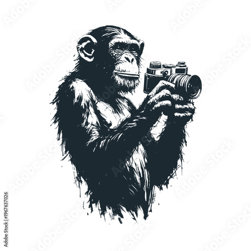 Chimpanzee becomes photographer with camera