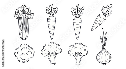 Hand Drawn Vegetable Set: Carrot, Celery, Broccoli, Onion, Cauliflower