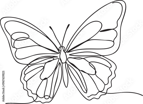 A beautiful line drawing of a butterfly with open wings