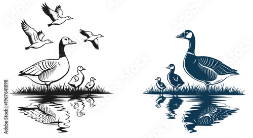 Canadian Geese Family and Flying Birds, Silhouette with Water Reflection