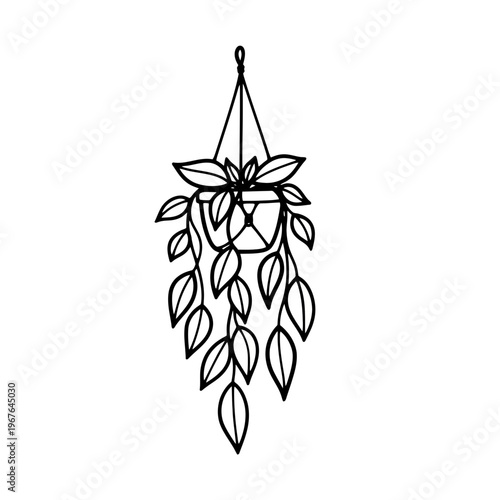 Minimalist Hanging Plant Line Art Illustration - Hand-Drawn Trailing Houseplant in a Pot for Botanical Design and Home Decor