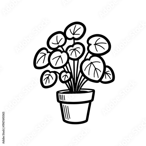 Minimalist Pilea Peperomioides Line Art Illustration - Hand-Drawn Chinese Money Plant in a Pot Doodle for Home Decor and Design