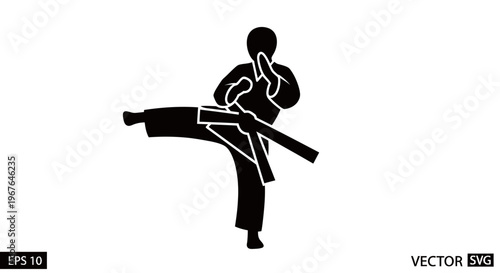Karate fighter performing a powerful side kick with black belt
