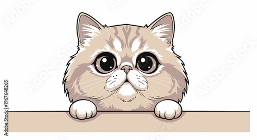 Cute Exotic Shorthair Kitten Peeking Over Edge, Big Eyes, Adorable Pet Portrait