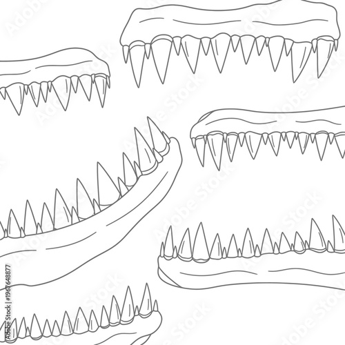 Detailed illustration of various crocodile teeth sets in a white background.