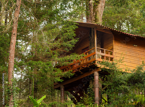 The secret nest: a dream cabin suspended in the treetops