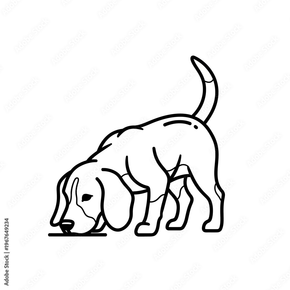 Obraz premium Black and white line art illustration of a beagle dog sniffing the ground.