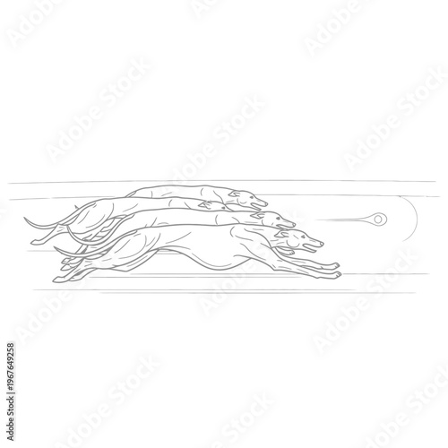 Greyhound dogs racing towards a lure in a fast-paced sporting event.