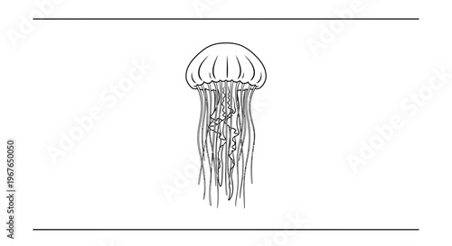 Elegant line art depiction of a floating jellyfish, showcasing its delicate bell and intricate