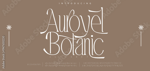 Auroyel Bolanic Luxury wedding alphabet font. Typography decorative elegant classic lettering serif fonts vintage retro for logo. vector illustration