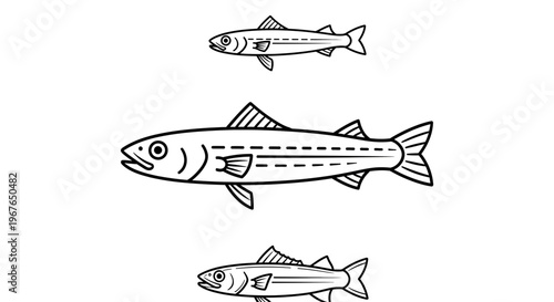 Minimalist line art illustration of three fish, one large and two small, showcasing aquatic life