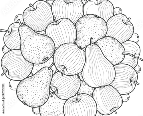 A collection of intricately detailed pears drawn in a sketch style.