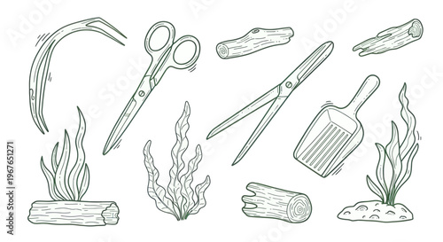 Aquascaping Tools and Natural Elements for Aquarium Decoration.