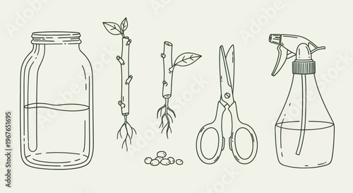 Gardening tools and plant cuttings for propagation.