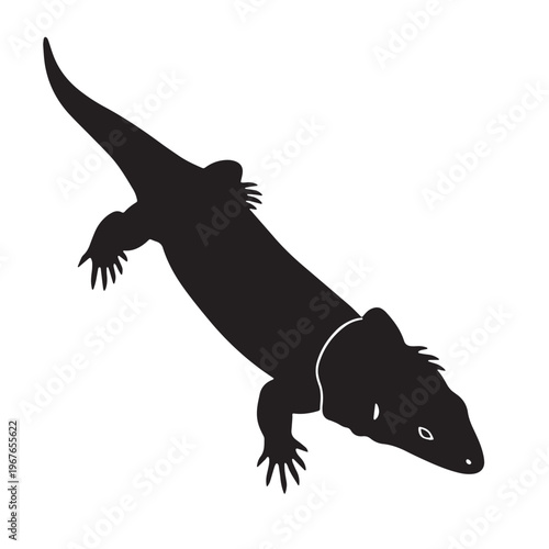 Black Mexican mole lizard Silhouette Vector, High Quality Illustration on White Background