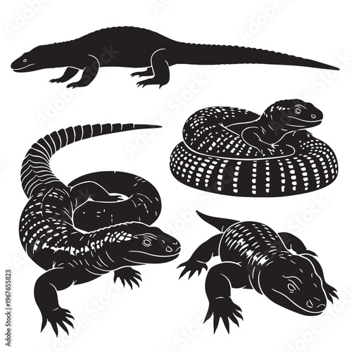 Black Gila monster Silhouette Vector, High Quality Illustration on White Background