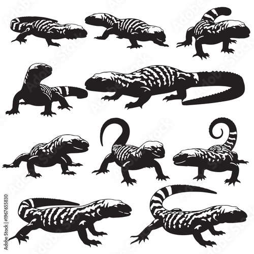 Black Gila monster Silhouette Vector, High Quality Illustration on White Background