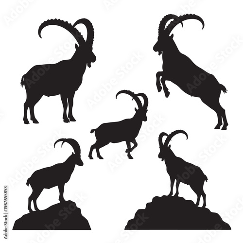 Fotografía Black Ibex Silhouette Vector, High Quality Illustration on White Background